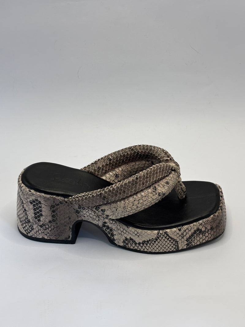 Tamanco Plataforma Píton - Claudia Albuquerque Shoes